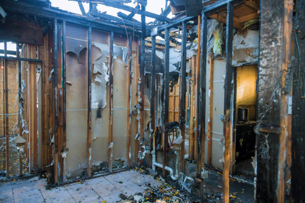 Professional Smoke Damage Removal technician working in Annapolis, MD